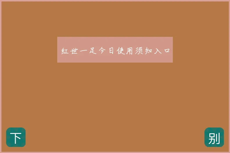 红世一足今日使用须知入口