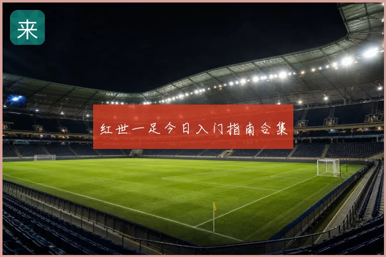 红世一足今日入门指南合集