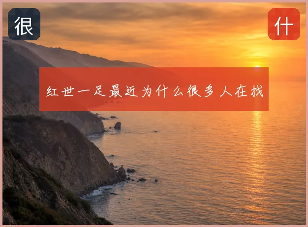红世一足最近为什么很多人在找